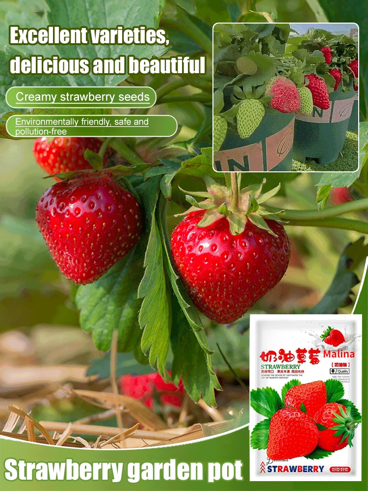 Sweet juicy creamy strawberry seeds