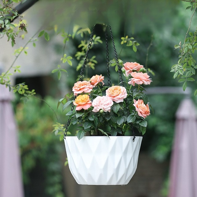 Samonasávací závěsný květináč pro lenochy