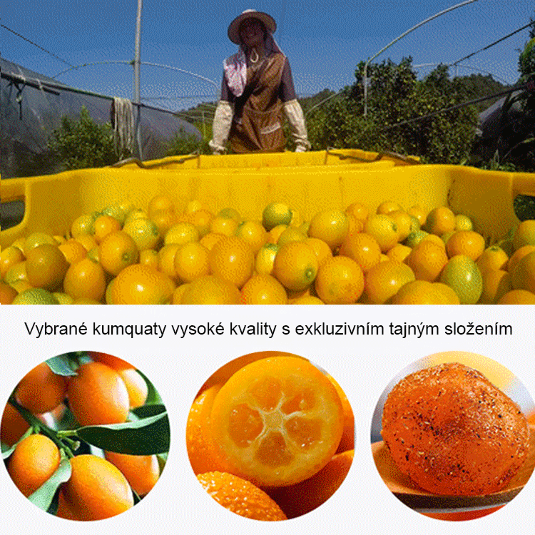 Směsná nápoj z pomerančové kůry, jamu, lékořice a kumkvatu