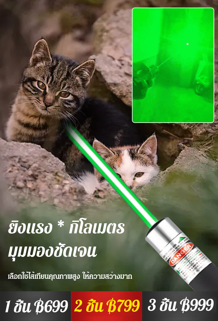 【พลังงานสูงพิเศษ】ไฟเลเซอร์ไล่นก