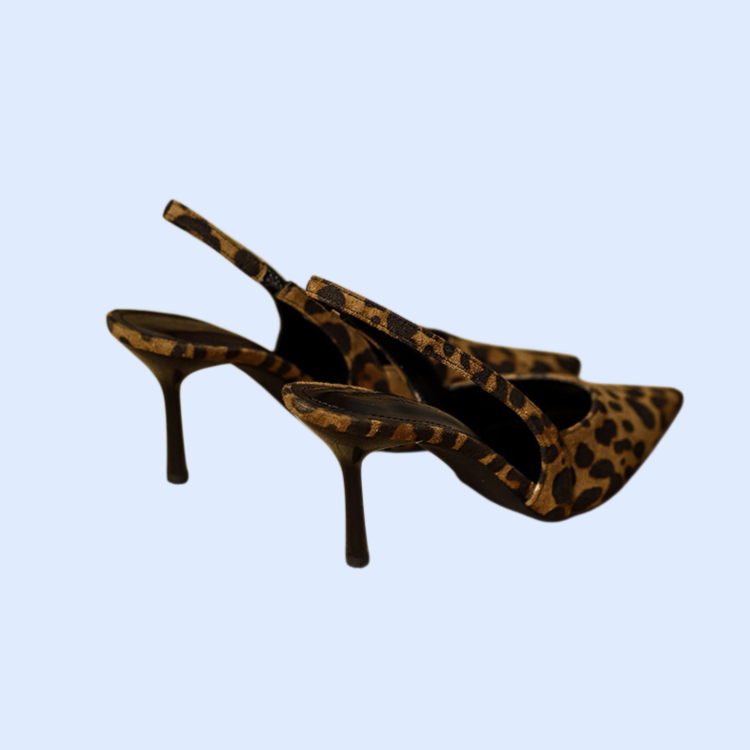 フランスのヒョウ柄ハイヒール