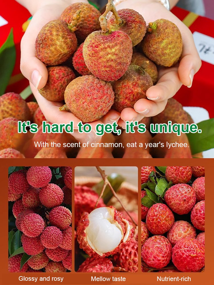 High quality litchi