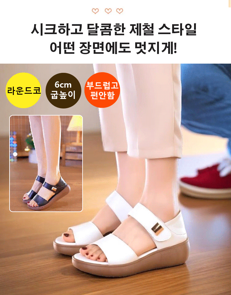 브랜드 특별 공급【저가】