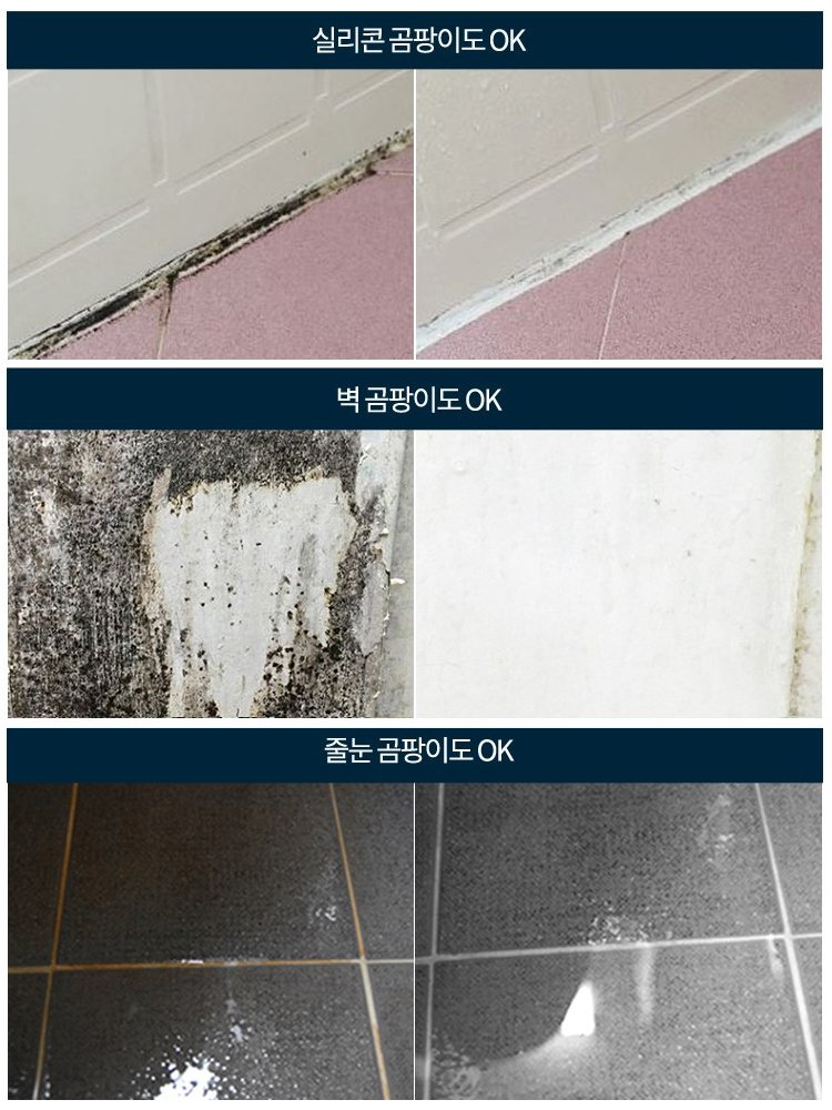 5in1 곰팡이 제거제