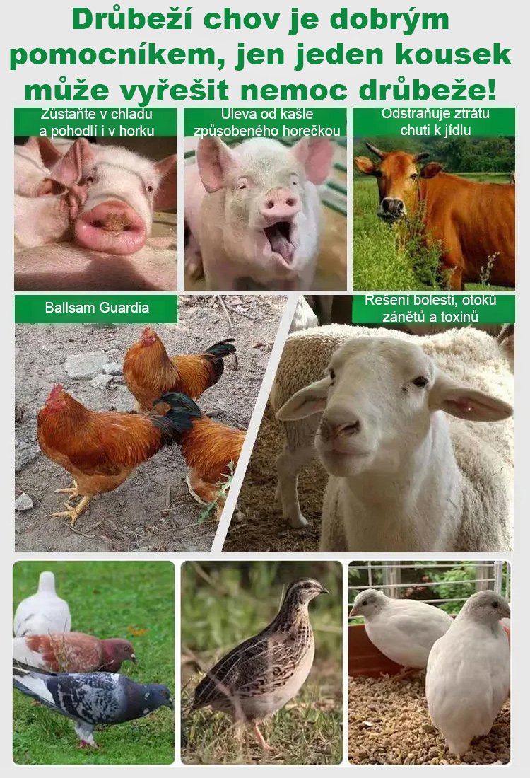 Doplňky krmiva pro drůbež