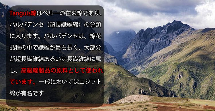 iQELAqNwbmcDBgTNAmIFzQFABtoAI4QBpAsRyPoCqttHdM4DGFqBwV4DzwAAAZYjojW9BM4AyAYbB84Mp8cfCAALzgAHO8s.jpg