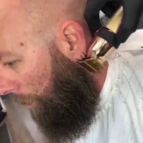 5.gif