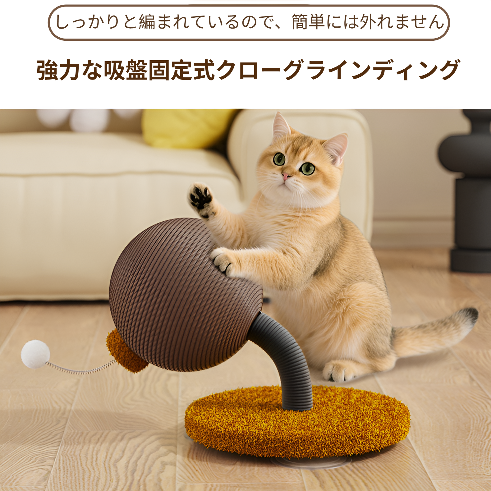 猫が爪とぎボードを使用するシーン