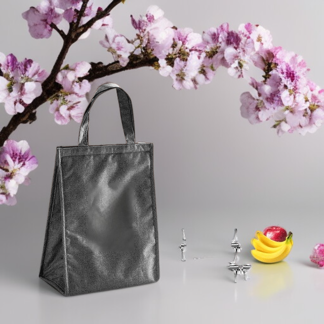  Přenosná obědová taška 