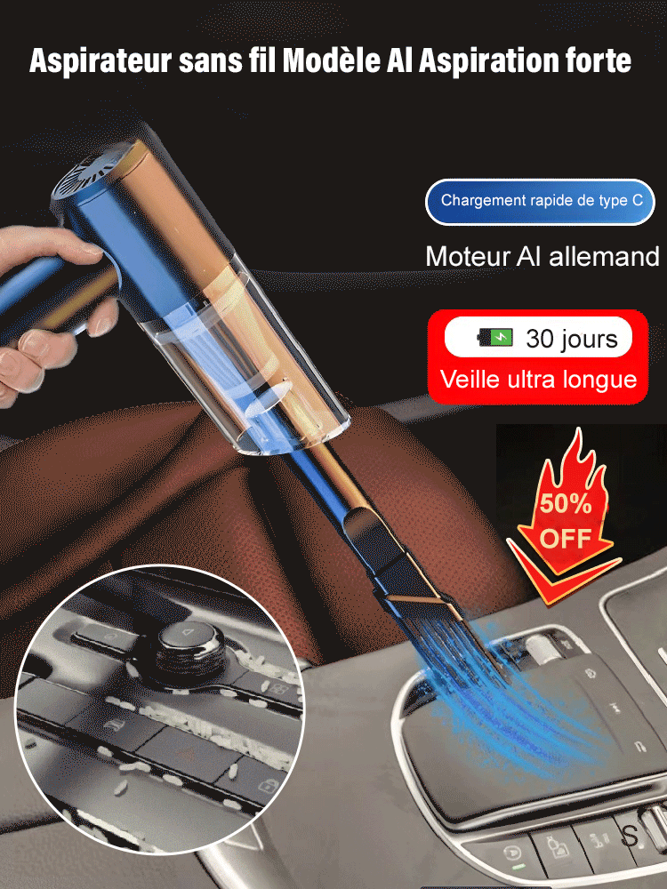 Aspirateur portable multifonctionnel pour voiture