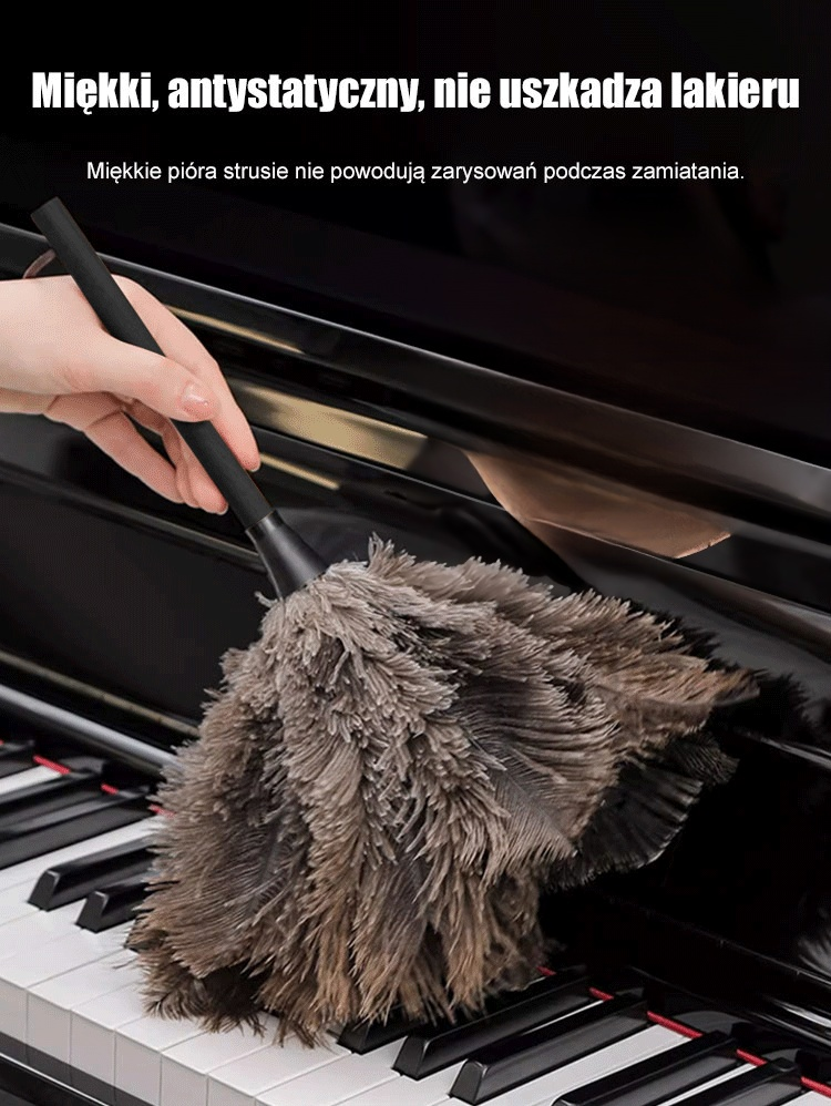 Ręcznie robiony miotełka do kurzu z piór strusia południowoafrykańskiego