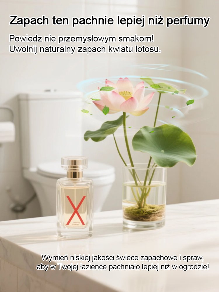 【Na pomyślność i bogactwo】Nasiona lotosu miskowego