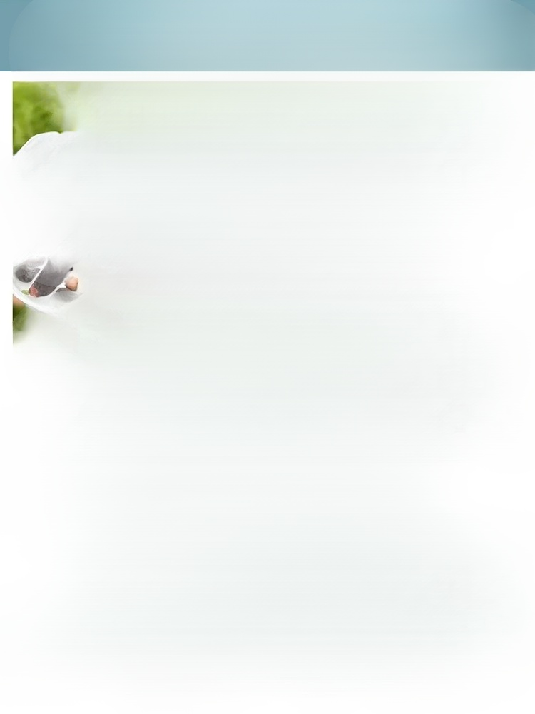 관상용 수경 재배 연꽃 씨앗