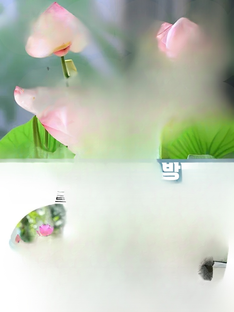 관상용 수경 재배 연꽃 씨앗