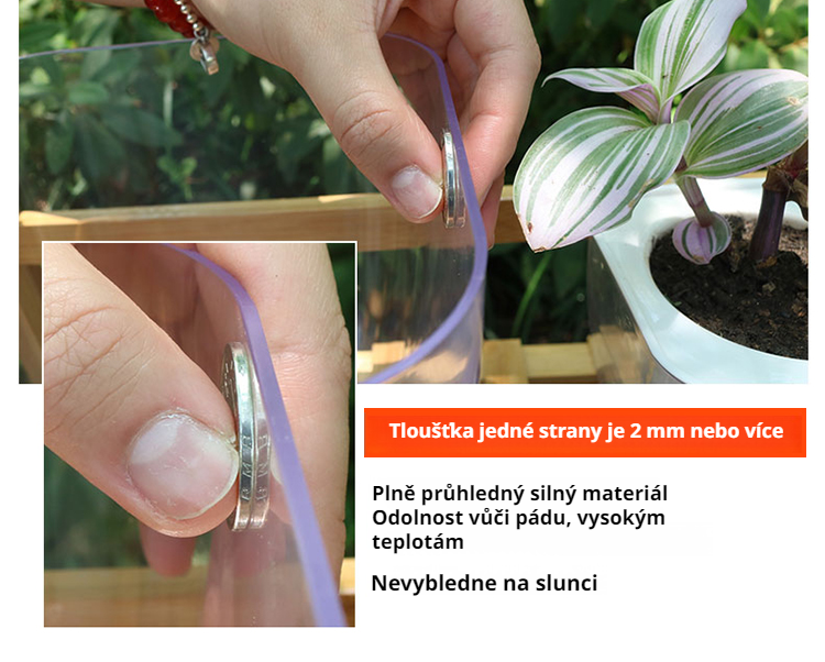 Home and office transparent planter with water absorption feature