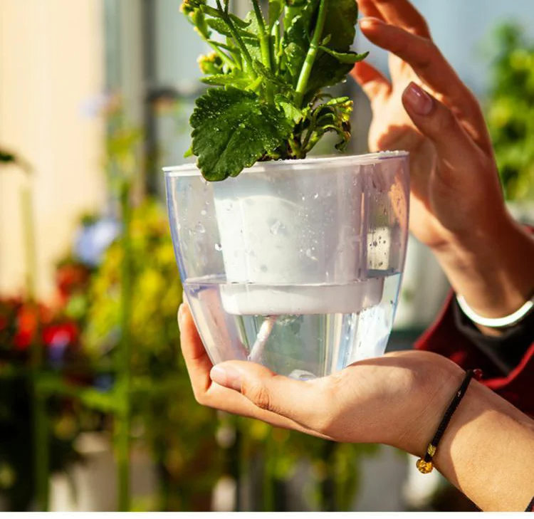 Modern clear flower pot for indoor gardening