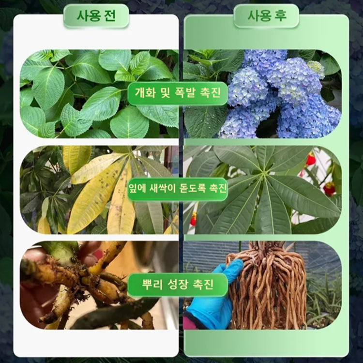 식물 발아 촉진 및 방출조절 영양봉