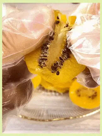 1_07.gif