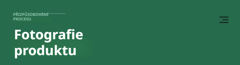 Zahradní vak na jahody plný zralých plodů