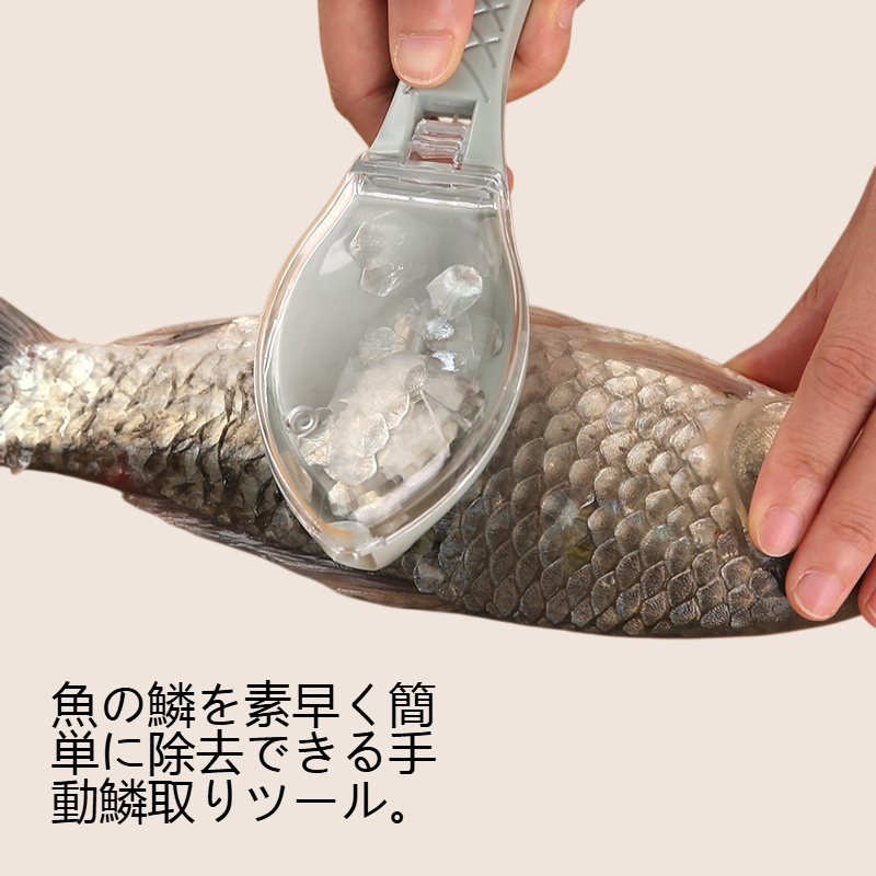 手動鱗取りツール