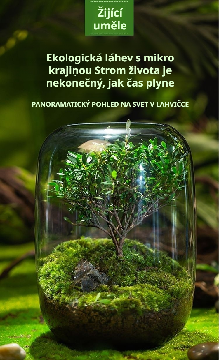 Detail miniaturní krajiny s bonsají a mechem