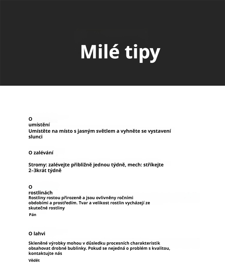 Interiérová inspirace – bonsaj s mechem na pracovním stole