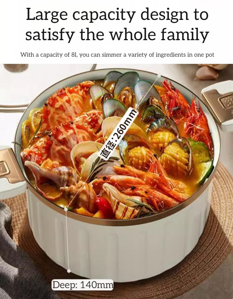 Multi-functional Micro Pressure Cooker