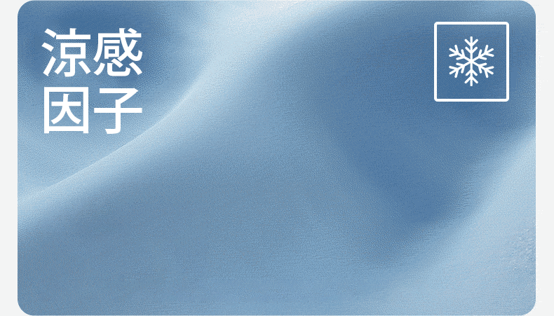 T_13.gif