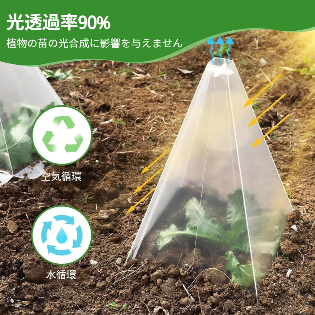 鳥や霜害から植物を保護するための植物コーングリーンベルカバーガーデン苗カバー
