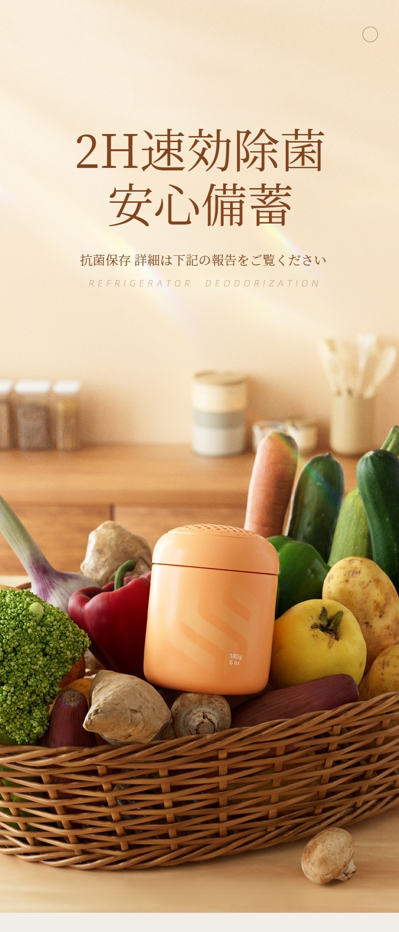 冷蔵庫用消臭炭の使用イメージ