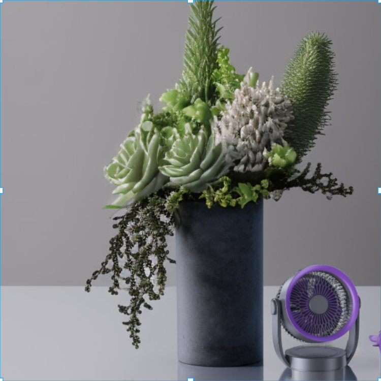 サーキュレーター