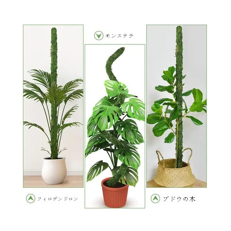 ラタンブラケット ガーデニングツール サポートバー 曲げられる ガーデニング アウトドア