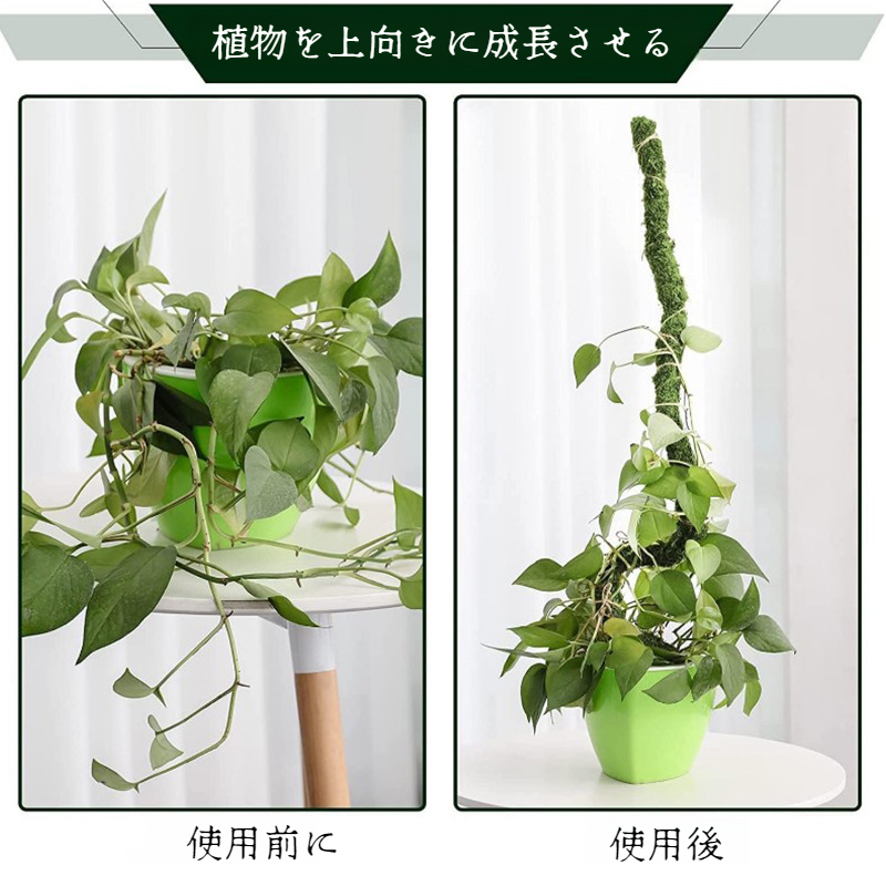 ラタンブラケット ガーデニングツール サポートバー 曲げられる ガーデニング アウトドア