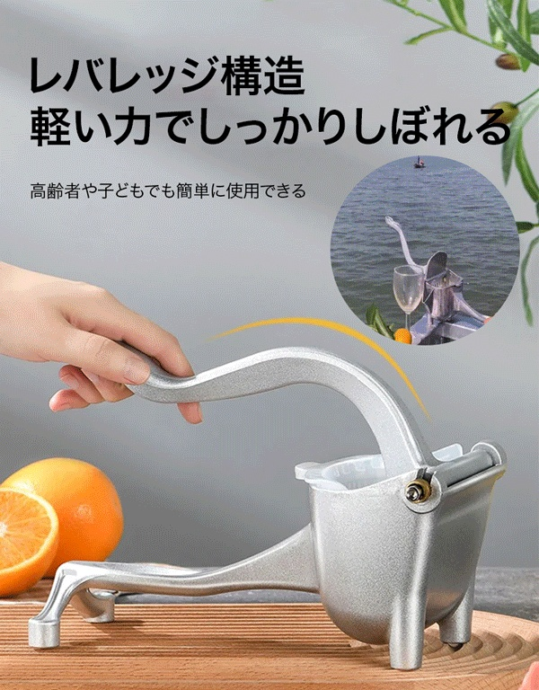 ハンドジューサー