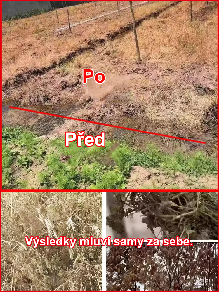 SL-Živný roztok v půdě