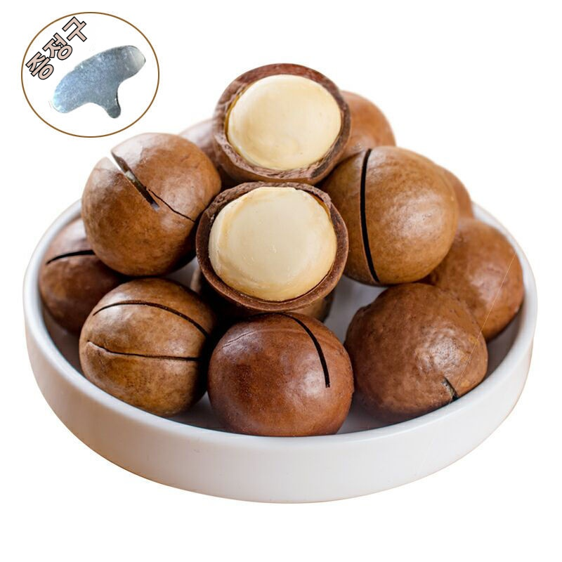  마카다미아 (우유향)