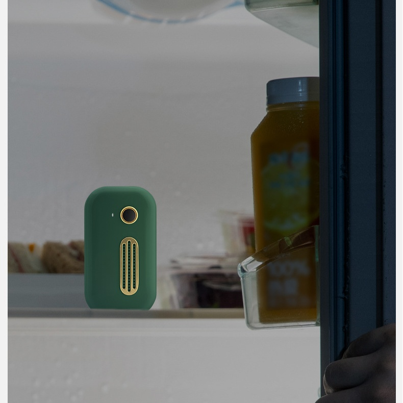 車のオゾンの脱臭装置は臭気の滅菌装置のワードローブの空気清浄器を取除きます