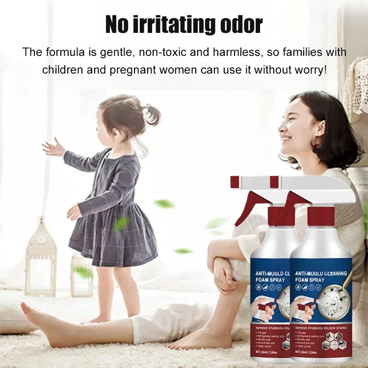 Bubble cleaning mold spray