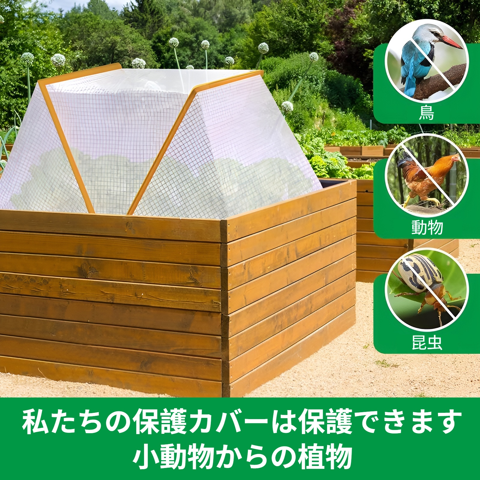 透明園芸植物断熱テント