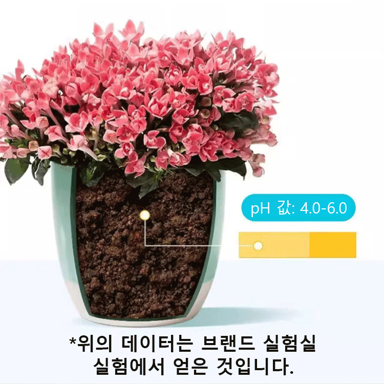 [꽃피기 촉진] 신상 황산철 토양 광합비료