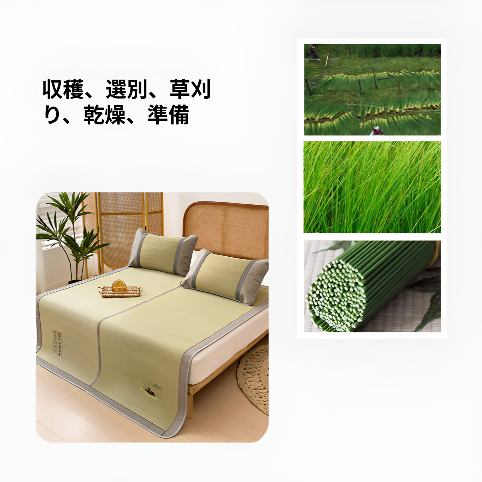 ほのかな草の香りが漂う天然素材のゴザマット