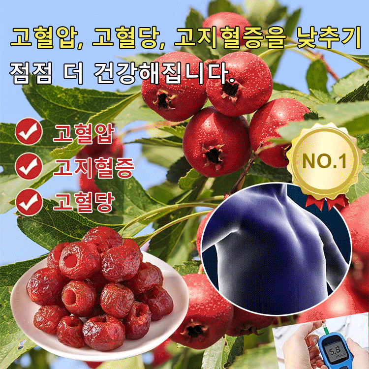 【세계 최고 부자의 장수 비법】고혈압, 고혈당, 고지혈증을 낮추는 씨 없음 공심 산사