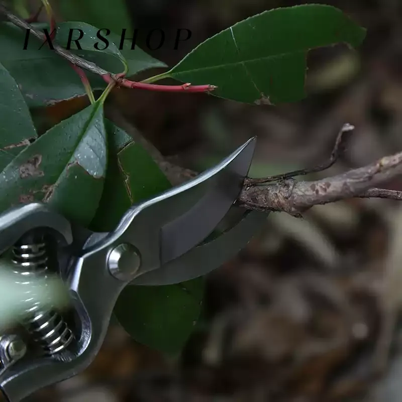 Mango de madera podadora tijeras florales jardín tijeras