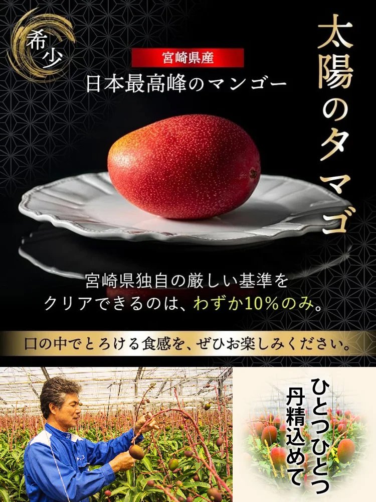 宮崎県産細切りドライマンゴー