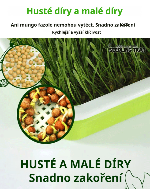 Efektivní pěstování zeleniny bez půdy