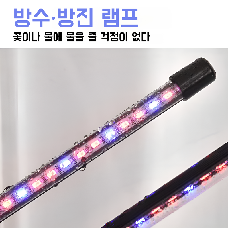 식물생장보광등타이밍보광다육육묘집게보광등약초생장등