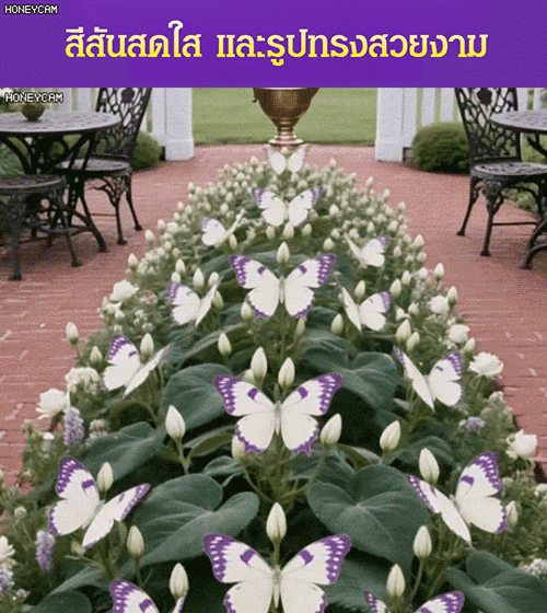 เครื่องประดับรูปผีเสื้อพระจันทร์