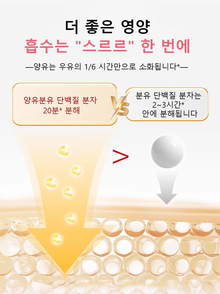 【네덜란드산 염소 우유】딸기 요구르트 사각 쿠키