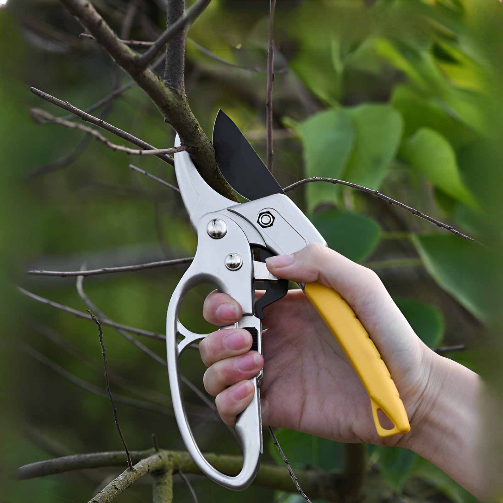 省力果樹剪定鋏