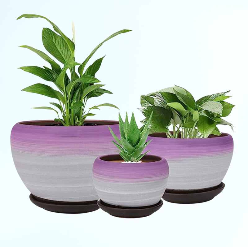 窯変の多肉植物用花器、モダンな家庭園芸用の陶器製大鉢